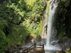 -莫里热带雨林景区