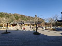 -焦山风景区