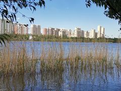 -永定河休闲森林公园