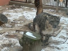 -青藏高原野生动物园
