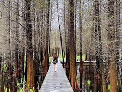 -溱湖国家湿地公园