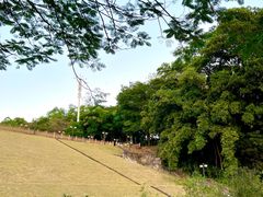 -谷丰健康凤贤居酒家