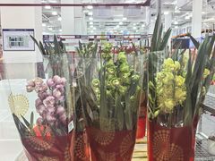 -山姆会员商店(上海浦东店)