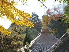 -潭柘寺景区