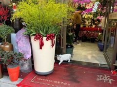 -溪岸路花鸟市场