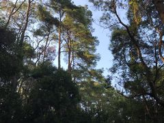 -三门江国家森林公园