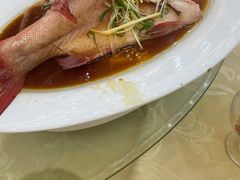 清蒸东星斑-叙福楼海鲜酒家(季华西路店)