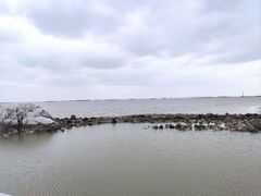 -上海吴淞炮台湾国家湿地公园