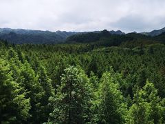 -山王坪喀斯特国家生态公园