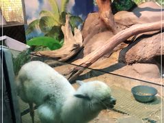 -苏州海洋馆
