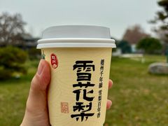 -赵州桥景区