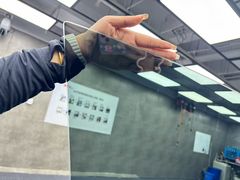 -车友必成·3M汽车贴膜/隐形车衣/改色膜(成都店)
