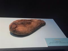 -浙江省博物馆(孤山馆区)