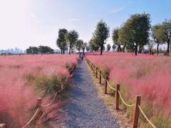 -汉长安城未央宫国家考古遗址公园