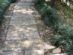 -东明山森林公园