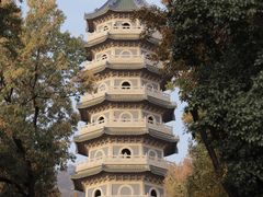 -灵谷景区
