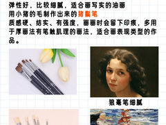 -六出私塾LiuChu•成人美术书法系统课程专业画室(熊婆婆的花园店)