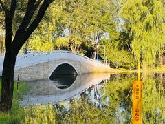 -东郊湿地公园
