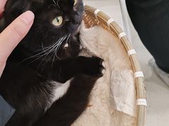 -共舞时光猫咖·狗咖(新街口店)