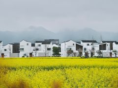 -东梓关景区村庄