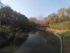 -大兴滨河森林公园