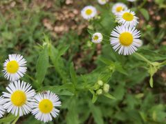 -南山风景名胜区