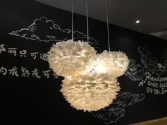 -MR鹅外
