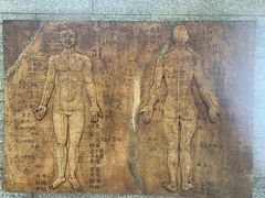 -广州神农草堂中医药博物馆