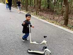 -同里国家湿地公园
