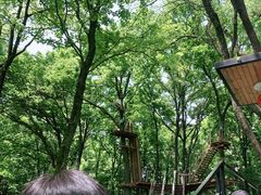 -WeLope紫金山探险公园
