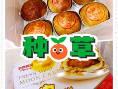 鲜肉月饼-泰康食品(南京东路店)