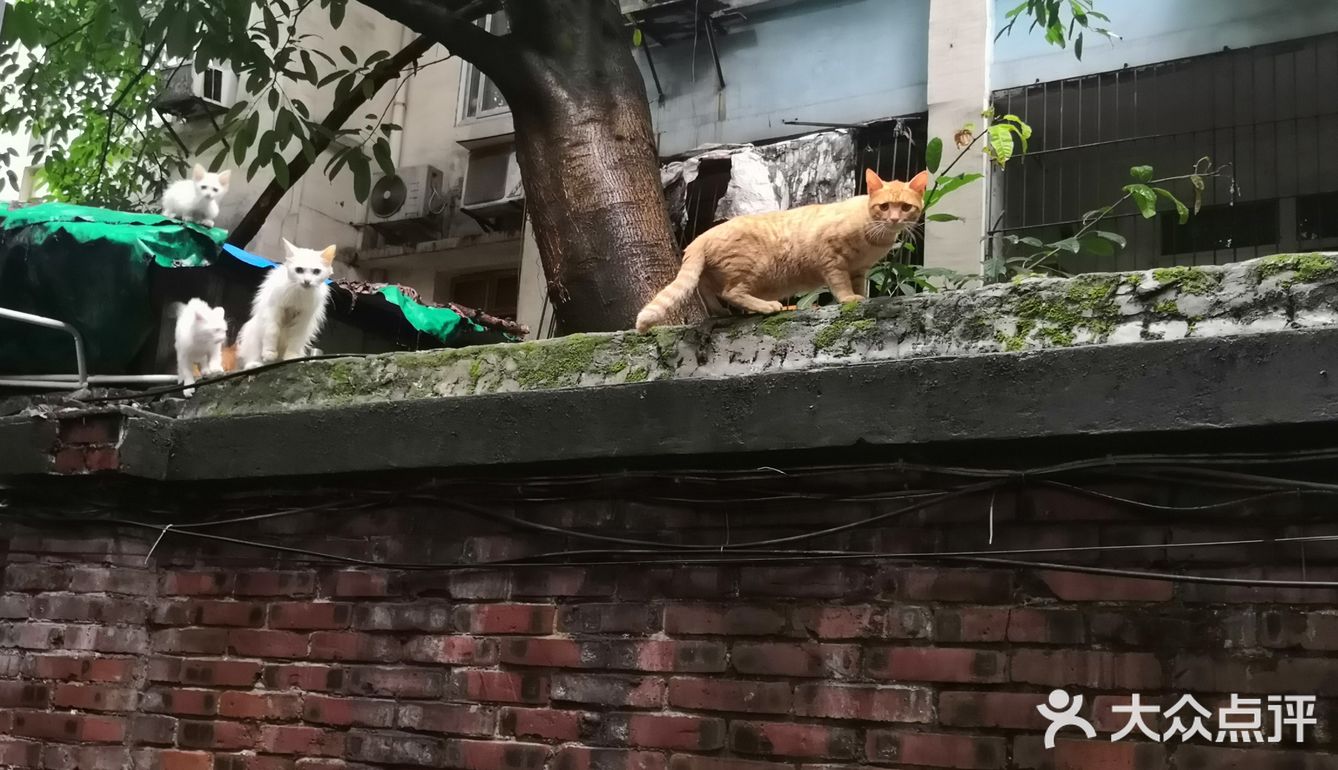 一个管饱，营养齐全