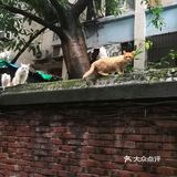 一个管饱，营养齐全