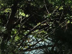 -青岛崂山太清宫