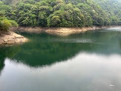 -广州市流溪河国家森林公园