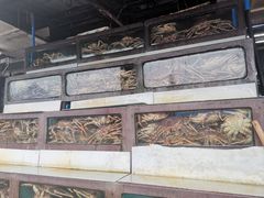 -黄沙水产交易市场