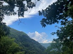 -藏龙百瀑风景区