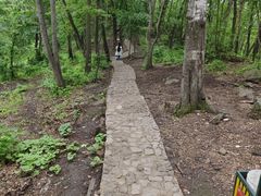 -香炉山国家森林公园
