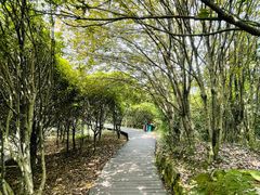 -大罗山风景区