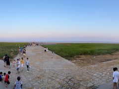 入口处的草坪全景-南汇嘴观海公园