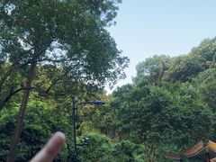 -广州市帽峰山景区