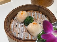 -食膳星港记·手工现做港式茶餐厅(吉联店)