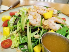 -HELLO 27 意面·沙拉·帕尼尼