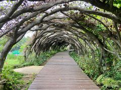 -广西壮族自治区药用植物园
