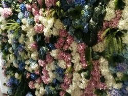 -Miss·A日式美甲美睫