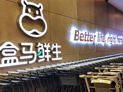 -盒马鲜生(财富中心店)