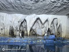 -太平洋海底世界