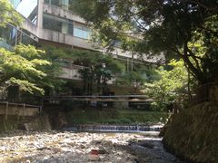 -月光园游月山庄