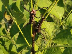 -野三坡清泉山风景区