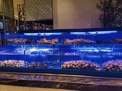 -索菲特酒店 · 云尚天际自助餐厅